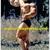 Photo 9 - Young Casey