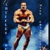 Casey Viator's Book2 -Articles of Mass Construction