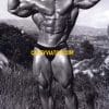 Photo 15 - Black and White Muscle Rock