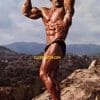 Photo 14 - Muscle Rock Bicep Shot